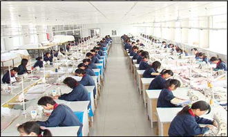 上海春暉旅游用品廠(chǎng) 一站式旅游用品與信息咨詢(xún)解決方案